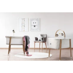 Babygo Sleep Good Mesh Wieg 4352 -BabyGo Verkoopwinkel babygo sleep good mesh wieg 4352 1 1